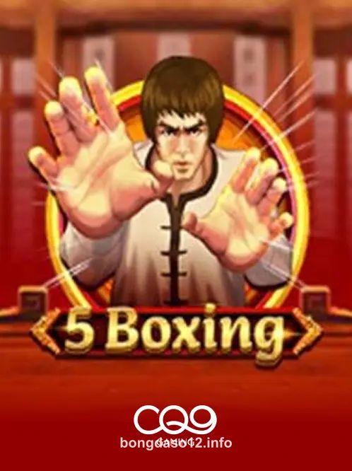 5 Boxing tại bongdaso