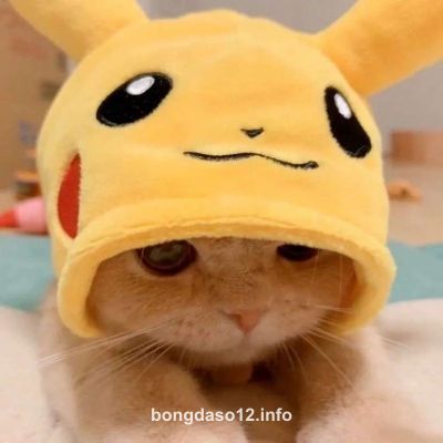 User 4