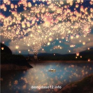 Ảnh đại diện Anvi